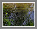 Fotogalerie