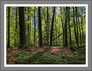 Fotogalerie