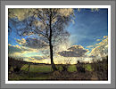 Fotogalerie
