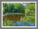 Fotogalerie
