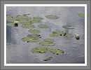 CWHP - Fotogalerie
