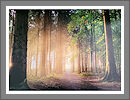 Fotogalerie