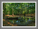 Fotogalerie
