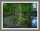 Fotogalerie